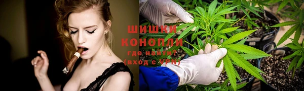 apvp Горнозаводск