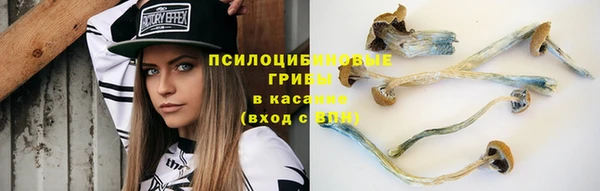 spice Горняк
