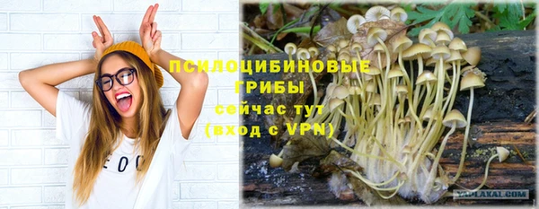 apvp Горнозаводск