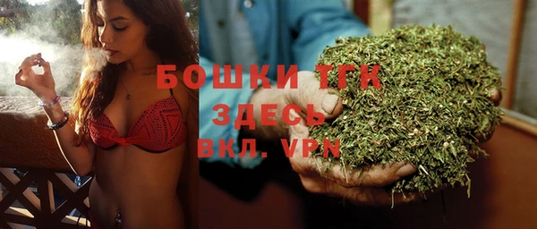 spice Горняк