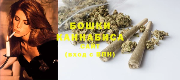 apvp Горнозаводск