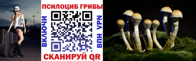 Псилоцибиновые грибы Cubensis  Оренбург 